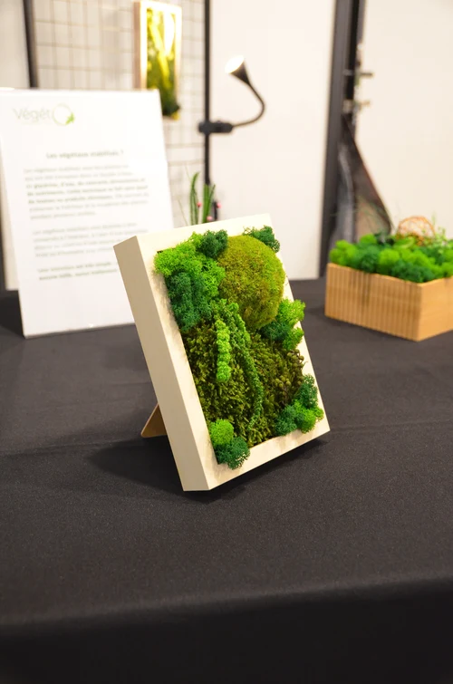 Salon de l'Habitat 2026
